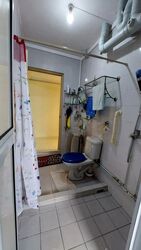 Blk 520 Pangshan Valley (Bukit Panjang), HDB Executive #500282691